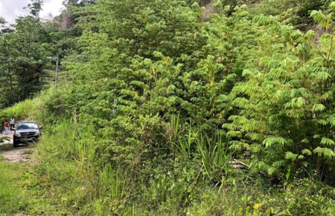 Solvista Park, Maracas, St. Joseph