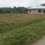 Britto Trace, Tabaquite