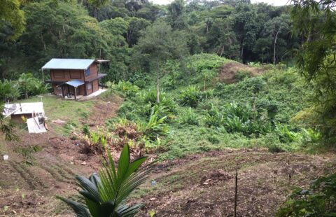 Land for Sale in Mason Hall, Tobago