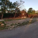 Mc Lean Street, Las Lomas