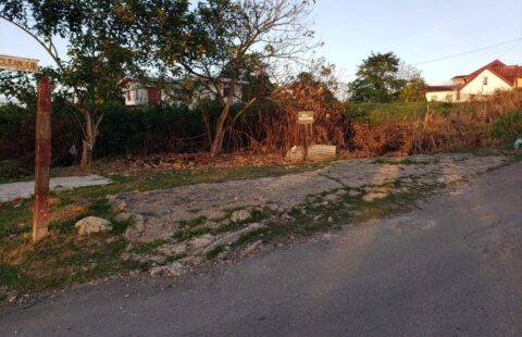 Mc Lean Street, Las Lomas