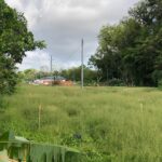 Cherrywood Park, Sangre Grande