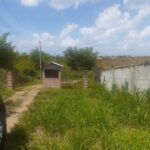 Temple Street, Mon Desir