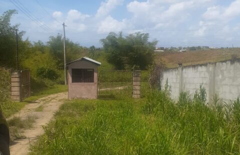 Temple Street, Mon Desir