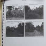 (4 Acres) Navet, Rio Claro 💡