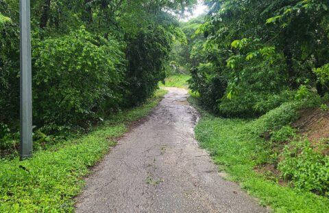 (9) ACRES AGRICULTURAL LAND