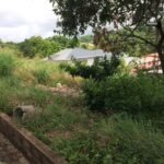 Begorat Road, Guayaguayare