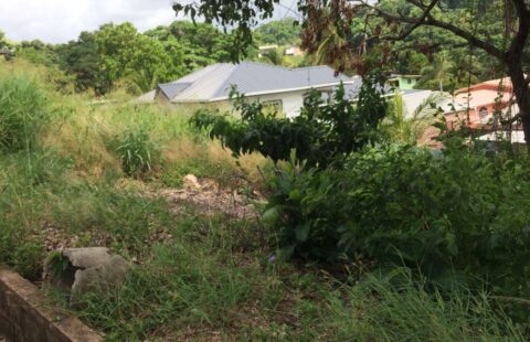 Begorat Road, Guayaguayare