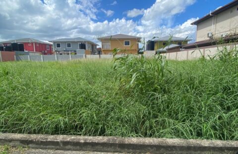 FOR SALE – St. Anthony’s Park