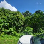 FOR SALE: Santa Margarita, St. Augustine LAND