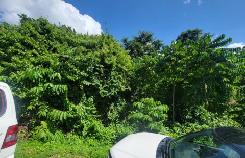 FOR SALE: Santa Margarita, St. Augustine LAND