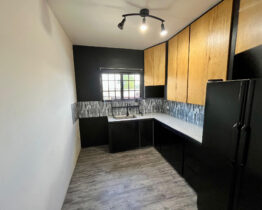 Cnr. Wharton Street, Old St. Joseph Road, Laventille