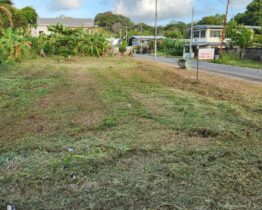 FOR SALE: Church Street, Mayaro