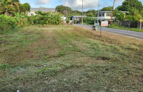 FOR SALE: Church Street, Mayaro