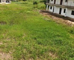 Rock River Road, St. Helena