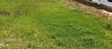 Rock River Road, St. Helena