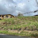 LAND FOR SALE: ARIMA