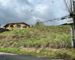 LAND FOR SALE: ARIMA