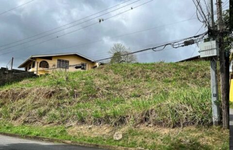 LAND FOR SALE: ARIMA